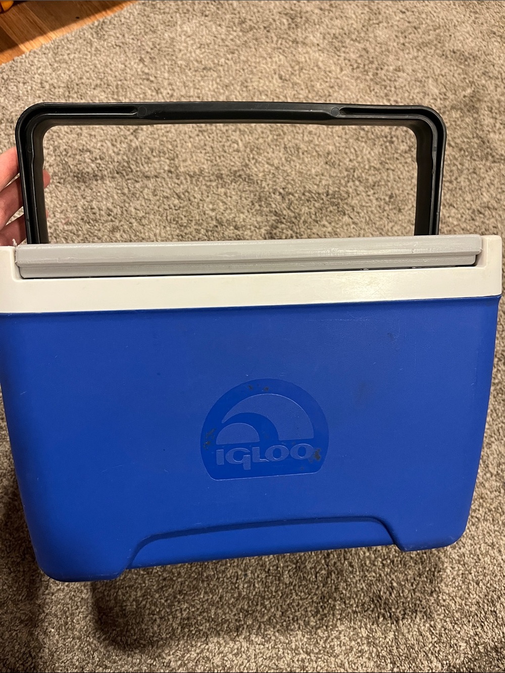 Igloo Blue and White Portable Cooler - Compact Handle Design